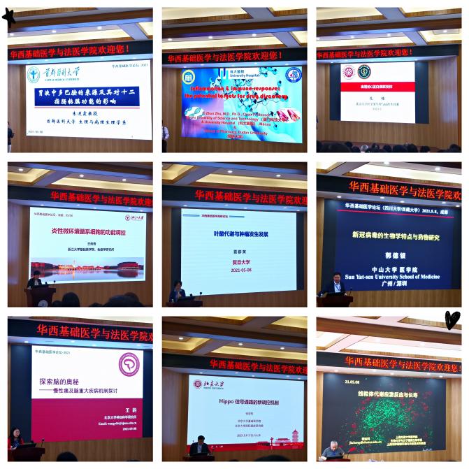 9eff1237c8c9ad9fd8205a8bf45ba6e